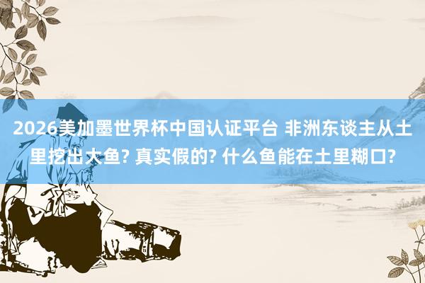 2026美加墨世界杯中国认证平台 非洲东谈主从土里挖出大鱼? 真实假的? 什么鱼能在土里糊口?