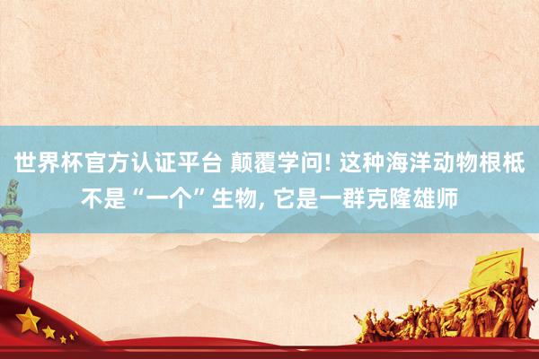 世界杯官方认证平台 颠覆学问! 这种海洋动物根柢不是“一个”生物， 它是一群克隆雄师