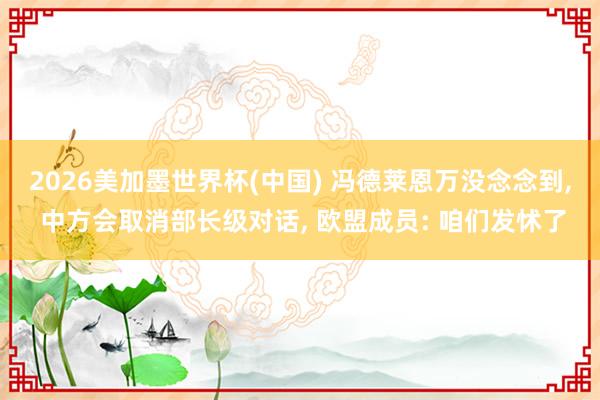 2026美加墨世界杯(中国) 冯德莱恩万没念念到, 中方会取消部长级对话, 欧盟成员: 咱们发怵了